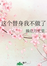 这个替身我不做了